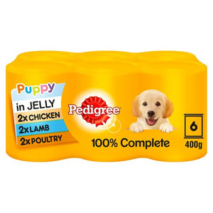 Pedigree Puppy in Jelly