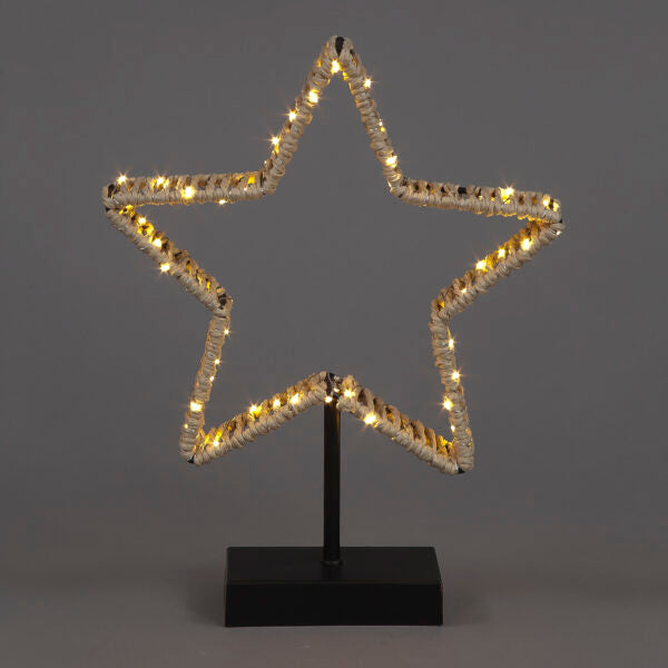 Metal Star with LEDS