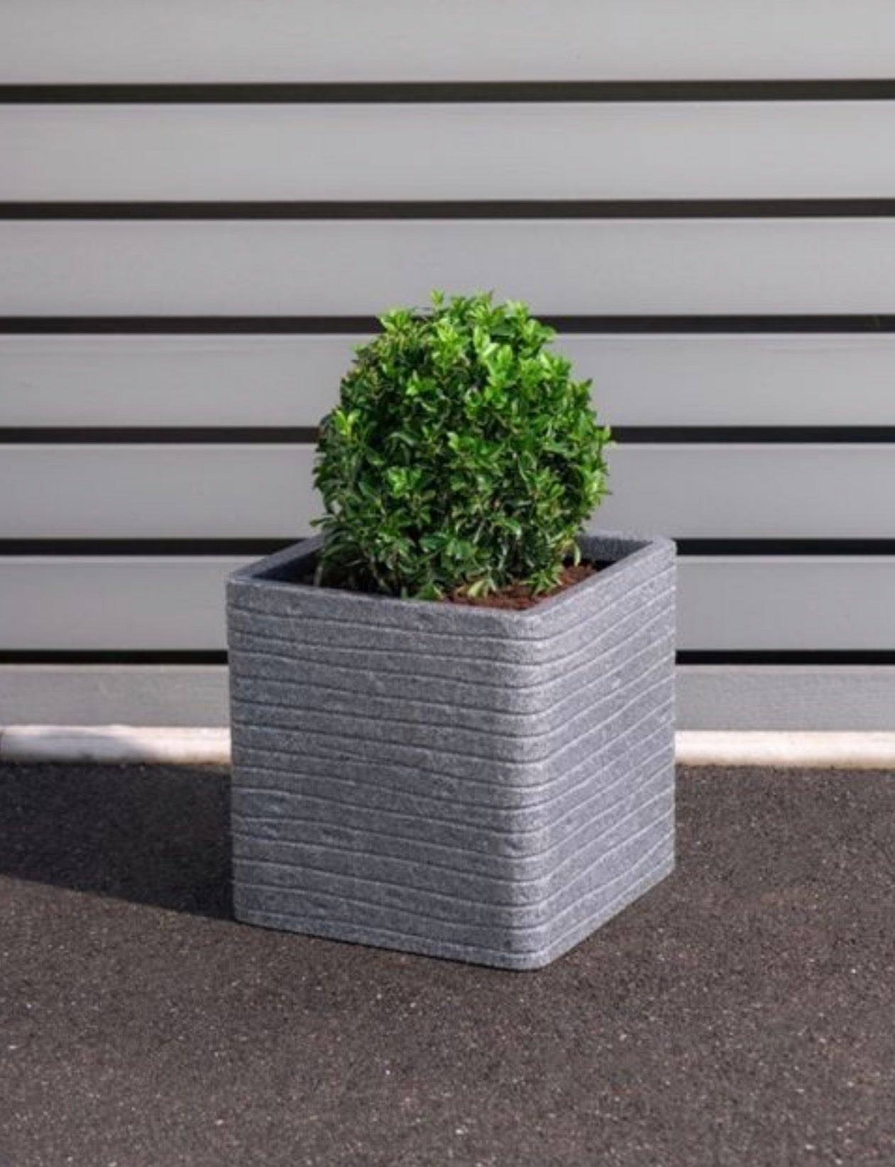 Strata Banbury Ash Square Planter – Bespoke Blooms By Maybury