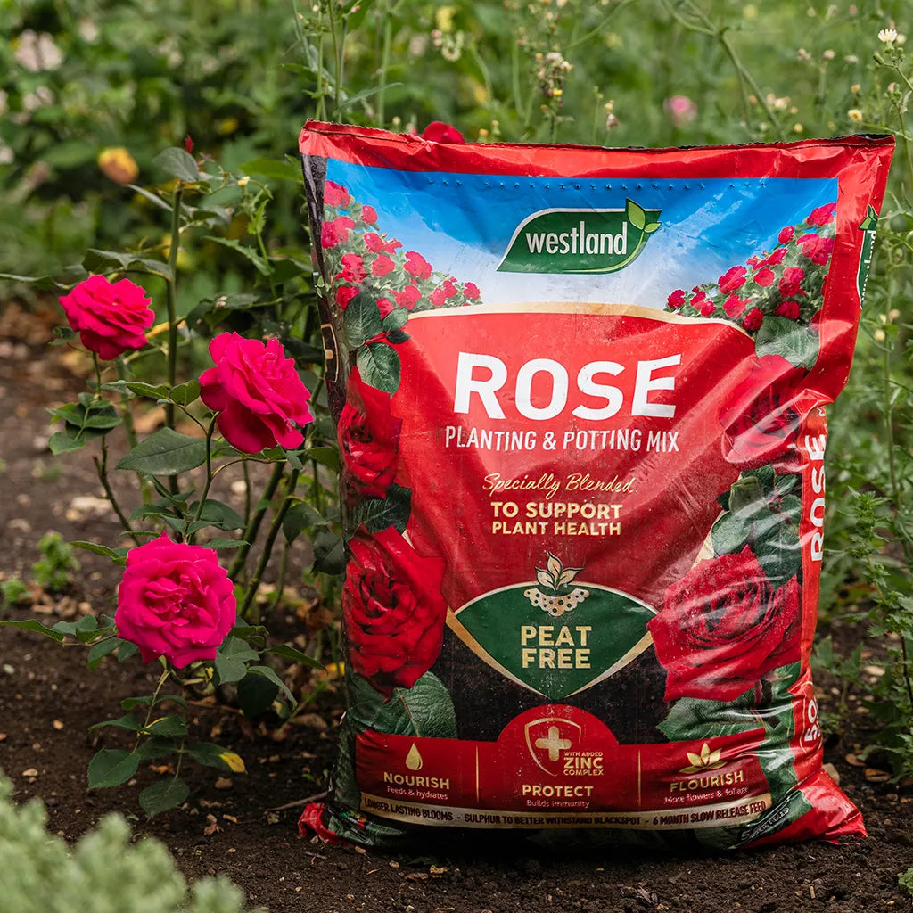 50L Rose Compost