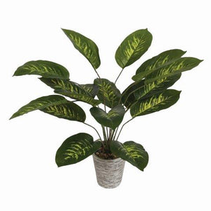 Plant In Decorative Pot 67cm