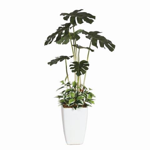 Philodendron Leaf Plant 61cm