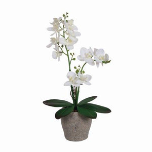 White Orchid in Pot 42cm
