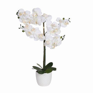 White Orchid Decor Pot 78cm