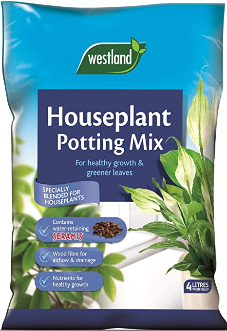 Houseplant Compost