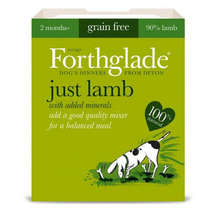 Forthglade Just Lamb 395g