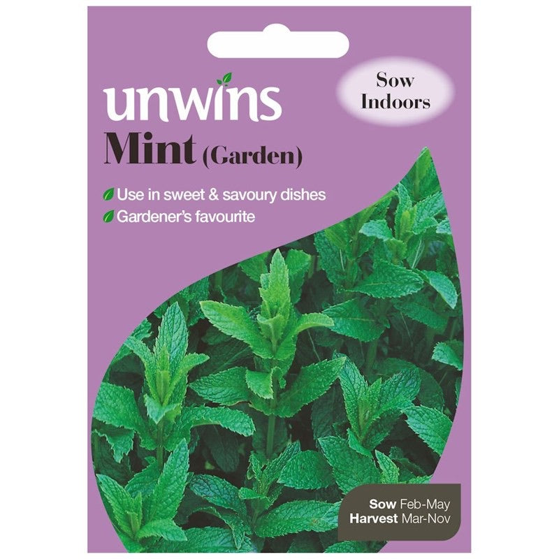 Mint Herb