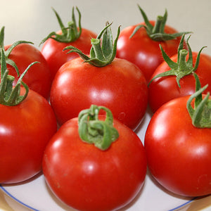 Tomato Orkado