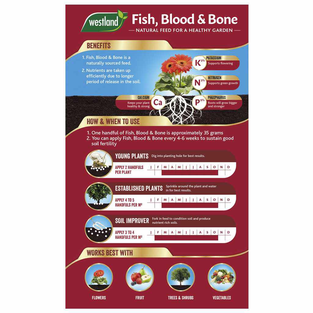 Fish Blood and Bone