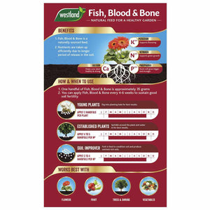 Fish Blood and Bone