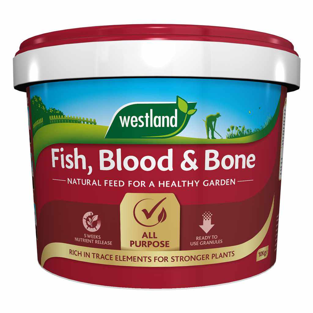 Fish Blood and Bone
