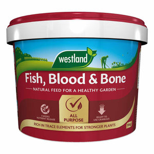 Fish Blood and Bone