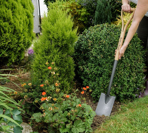 Kent and Stowe Border Spade