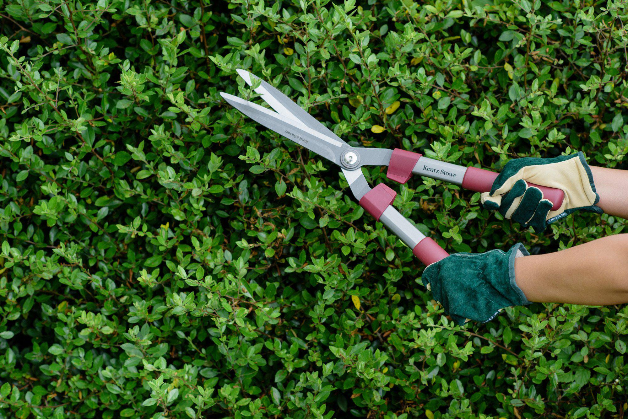 Kent and Stowe Hedge Shears and Ergo Pruner