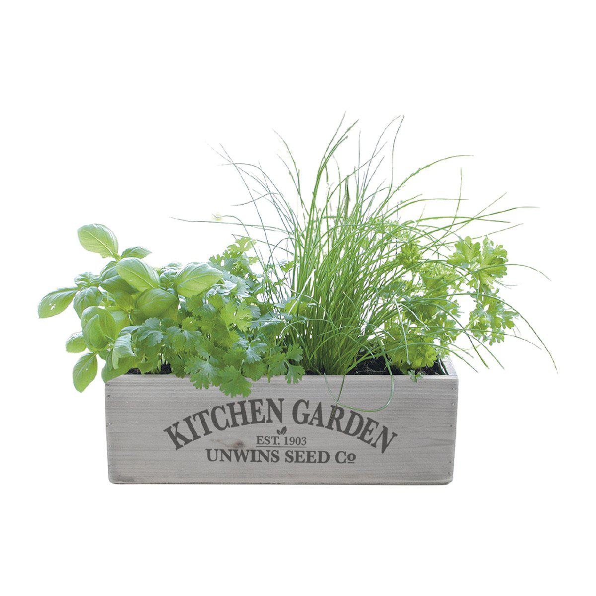 Kitchen Garden - Herb