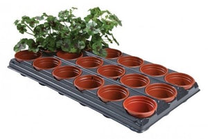 Growing Tray 18 Round Pots