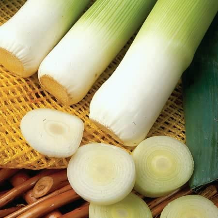 Leek Musselburgh