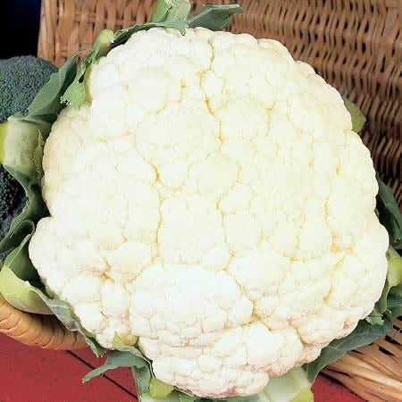 Cauliflower All Year Round