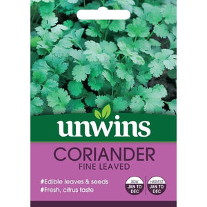 Herb Organic Coriander