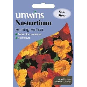 Nasturtium Burning Embers