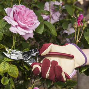 Kent and Stowe Anvil Secateurs