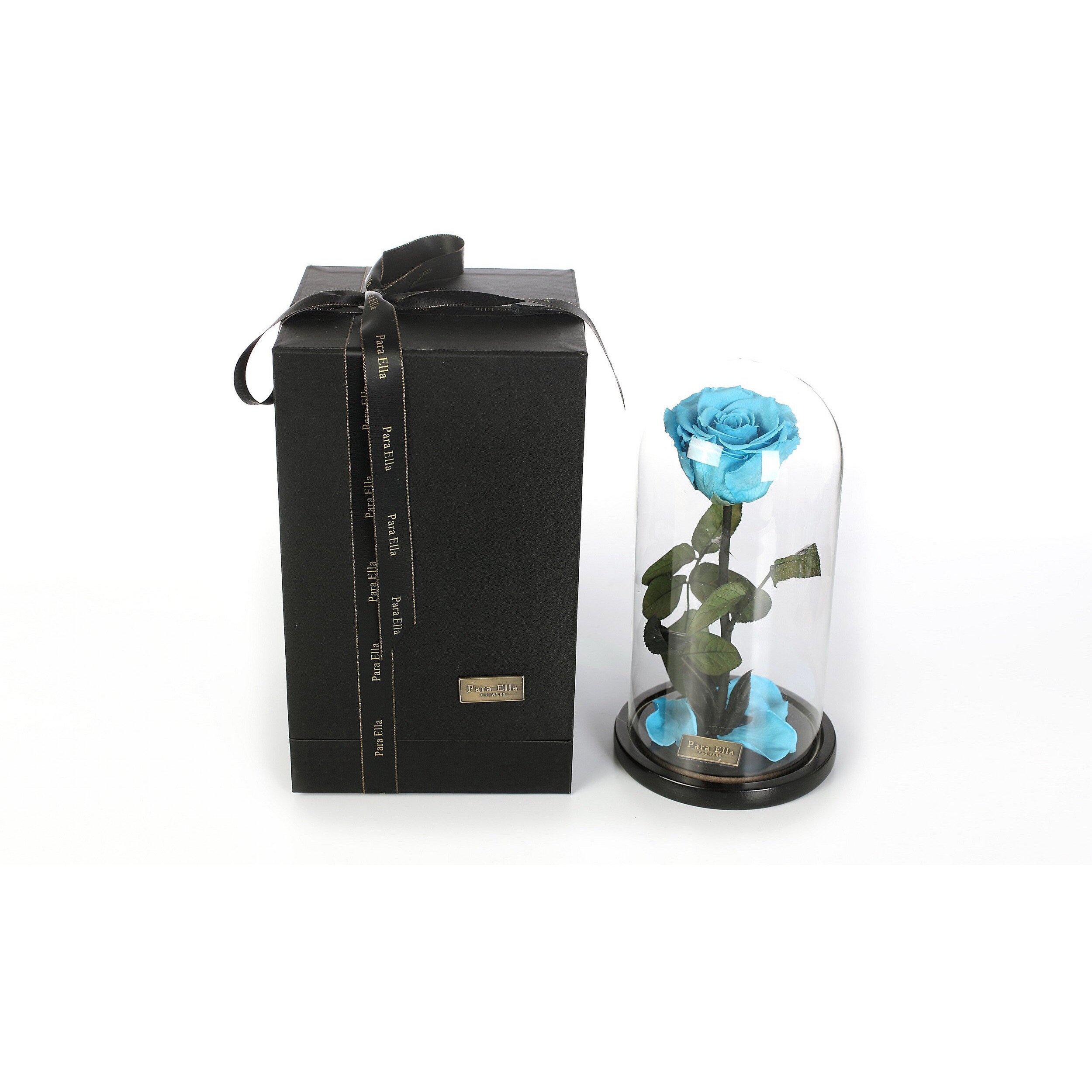 The Belle - Turquoise