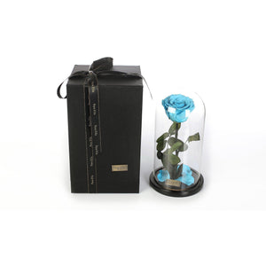 The Belle - Turquoise