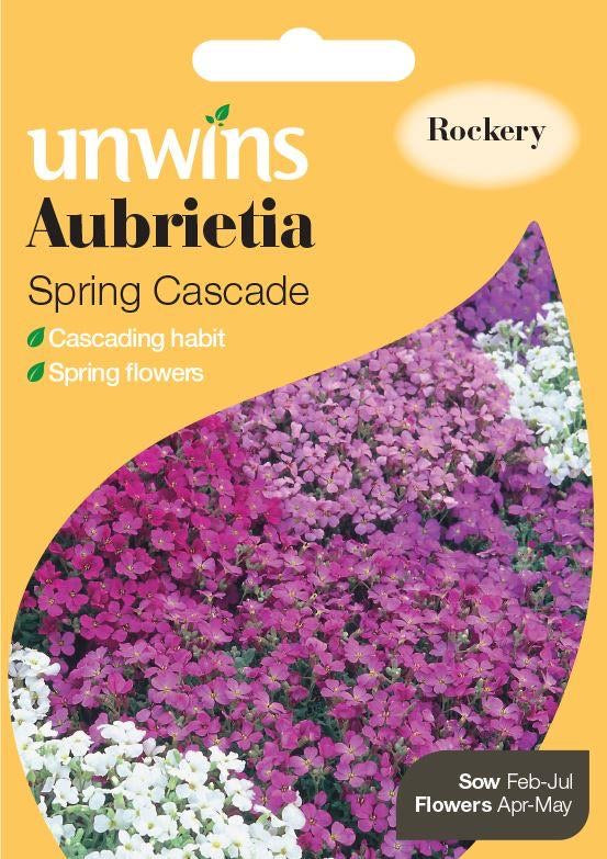 Aubretia Spring Cascade