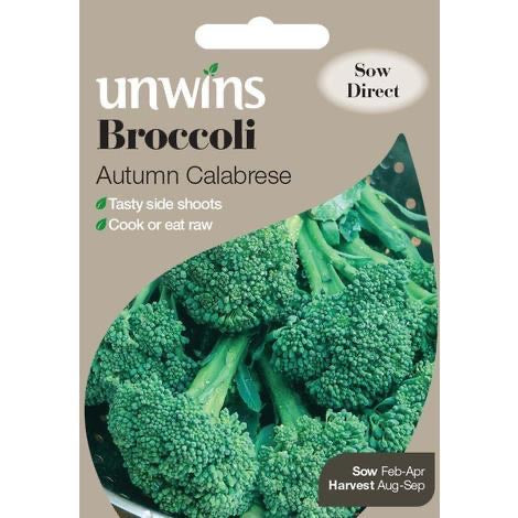 Broccoli Autumn Calabrese