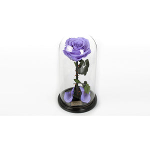 The Belle - Purple