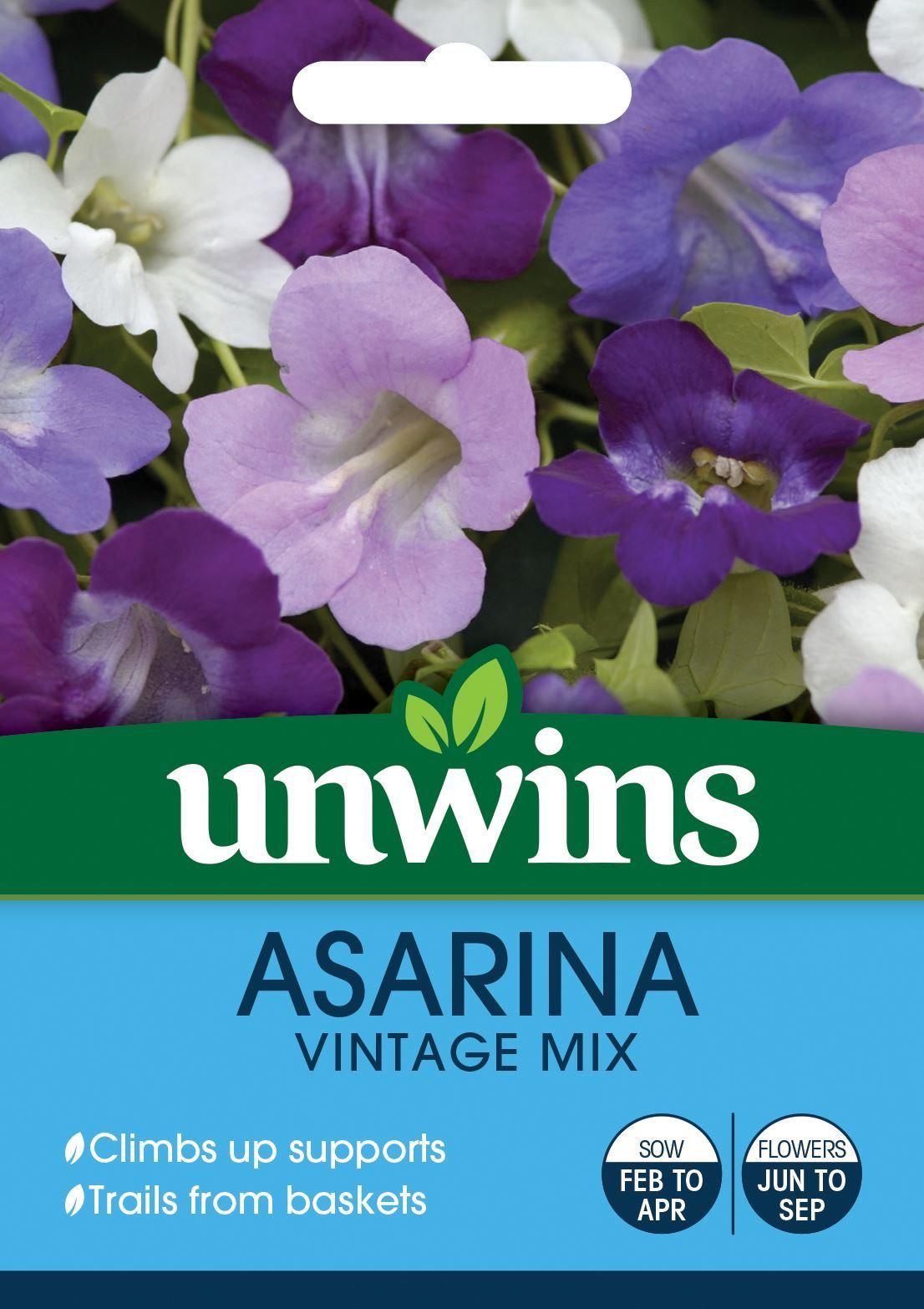 Asarina Scandens Vintage Mix