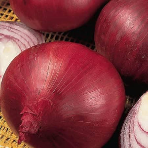 Onion Red Baron (seeds)