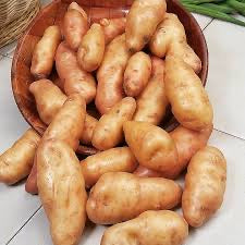 Pink Fir Apple 2.5kg