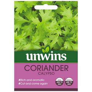 Coriander Calypso