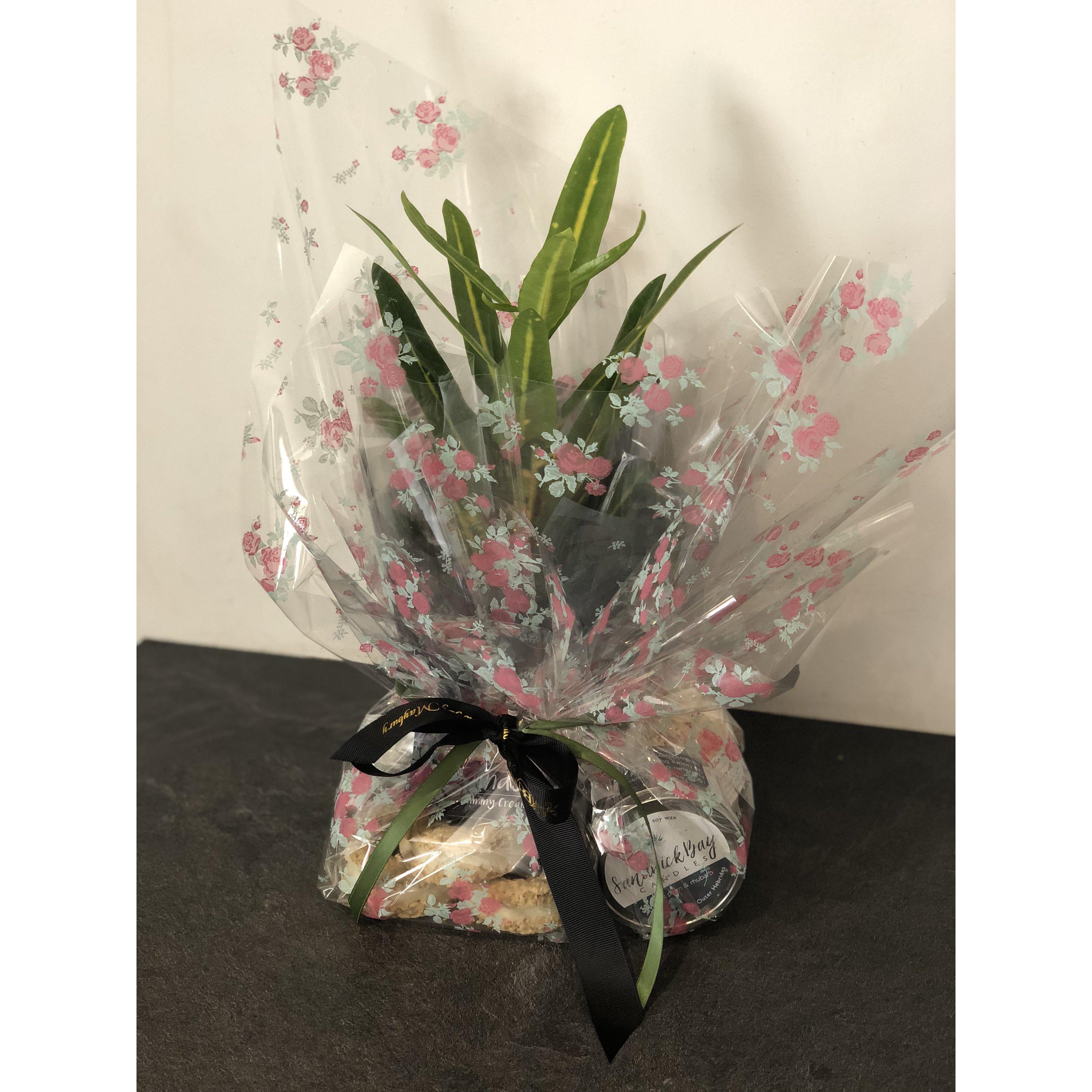 £20 Bundle