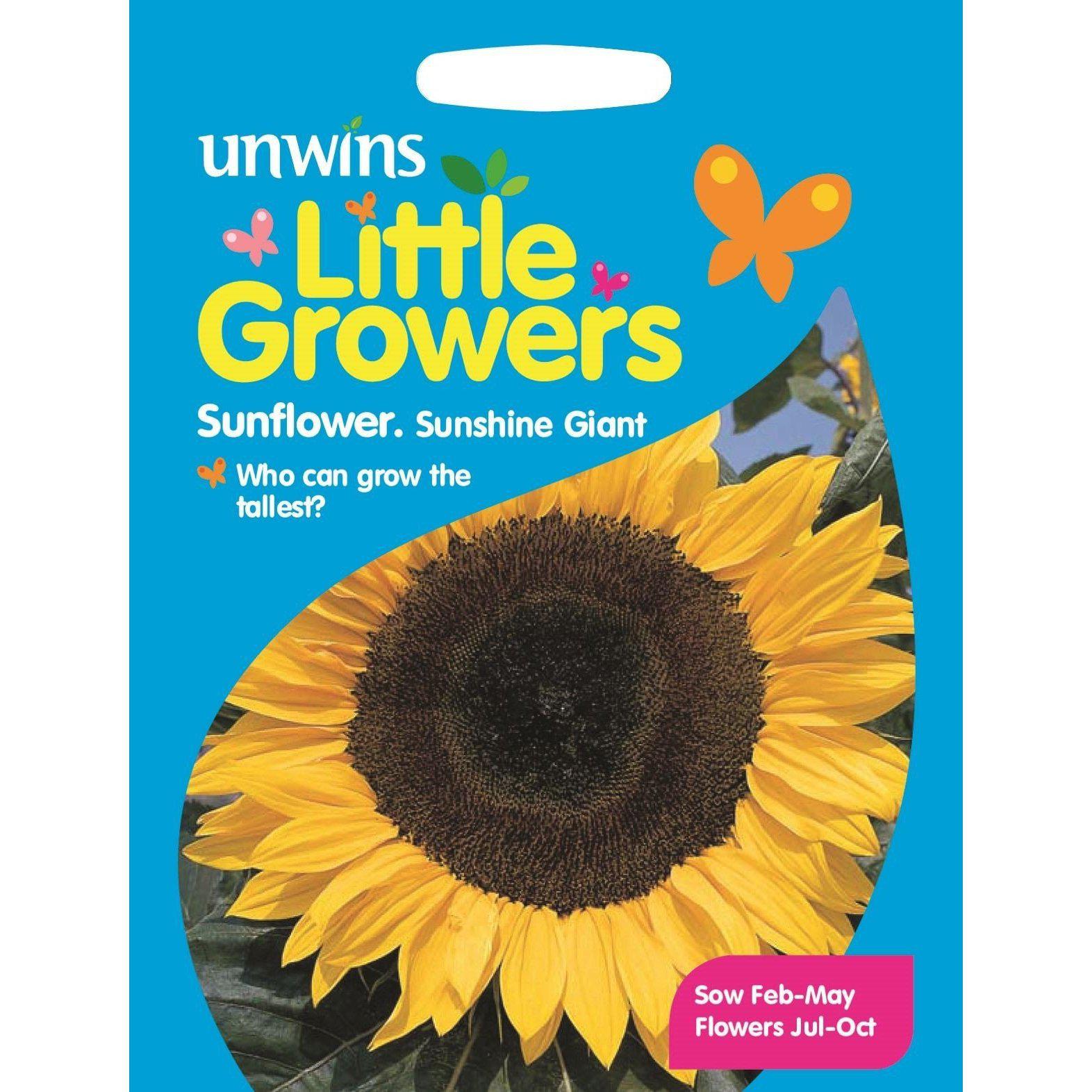 Little Growers Sunflowers