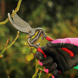 Kent and Stowe Bypass Secateurs