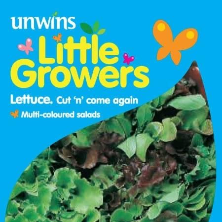 Little Growers Lettuce Cut N Come Again