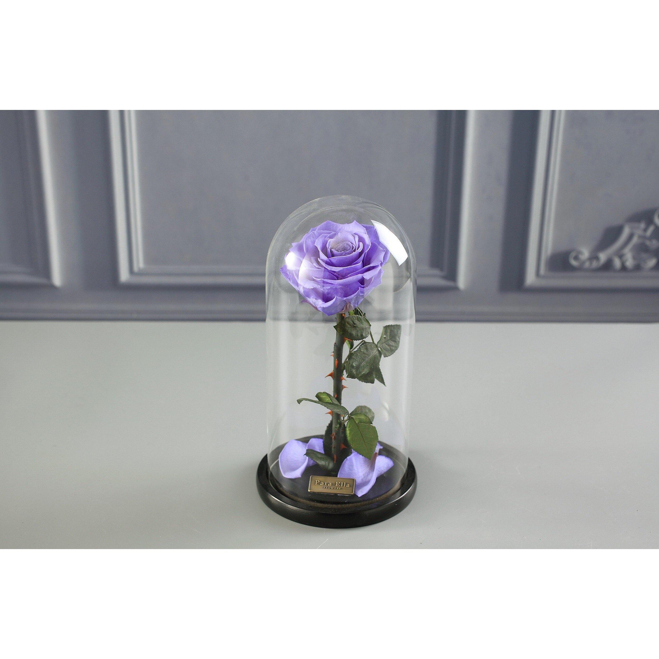 The Belle - Purple