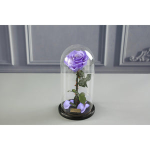 The Belle - Purple