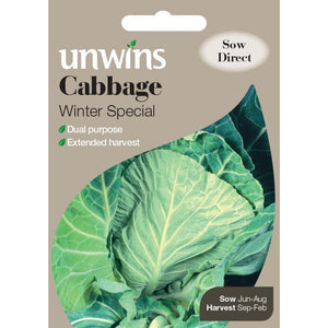 Cabbage Winter Special
