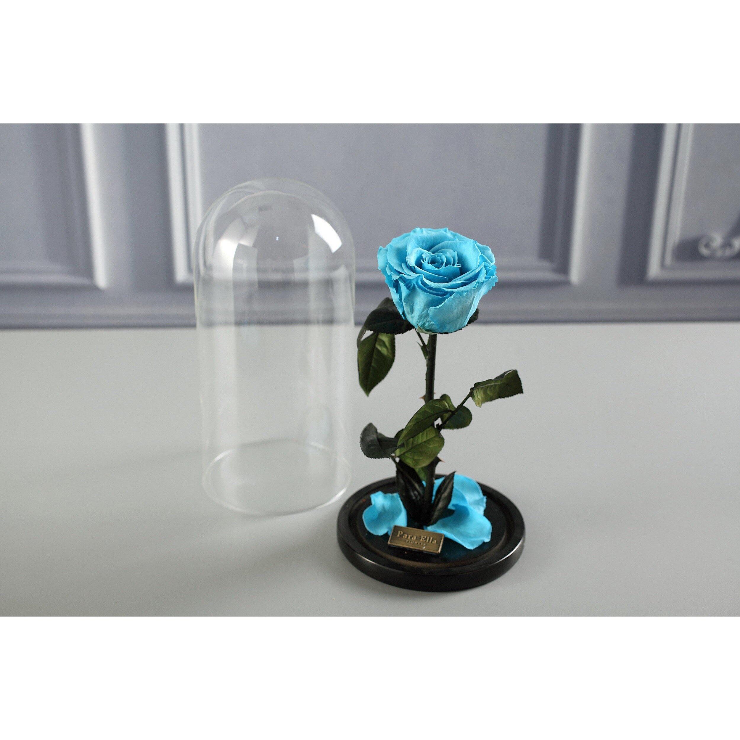 The Belle - Turquoise