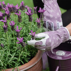 Kent & Stowe Purple Premium Leather Gloves