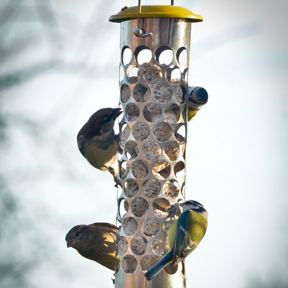 Peckish All Weather Goodness Nugget Feeder