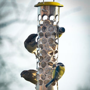 Peckish All Weather Goodness Nugget Feeder