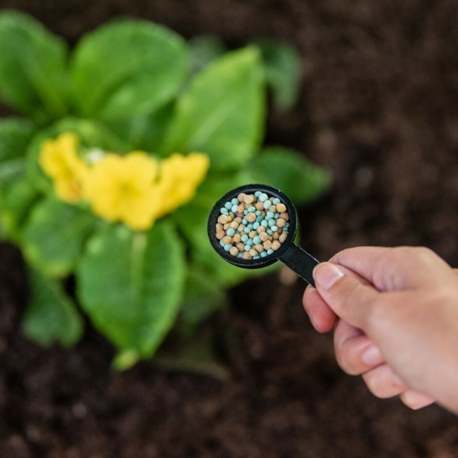 Slow Release Plant Food