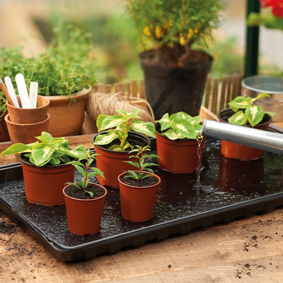 Grow It Watering Tray